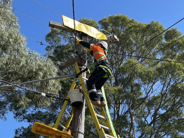 https://pittwaterserviceselectrical.com.au/wp-content/uploads/2025/04/thumbnail_IMG_0224-e1746402933172-640x480.jpeg